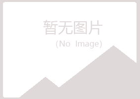 铜川忆伤工程有限公司